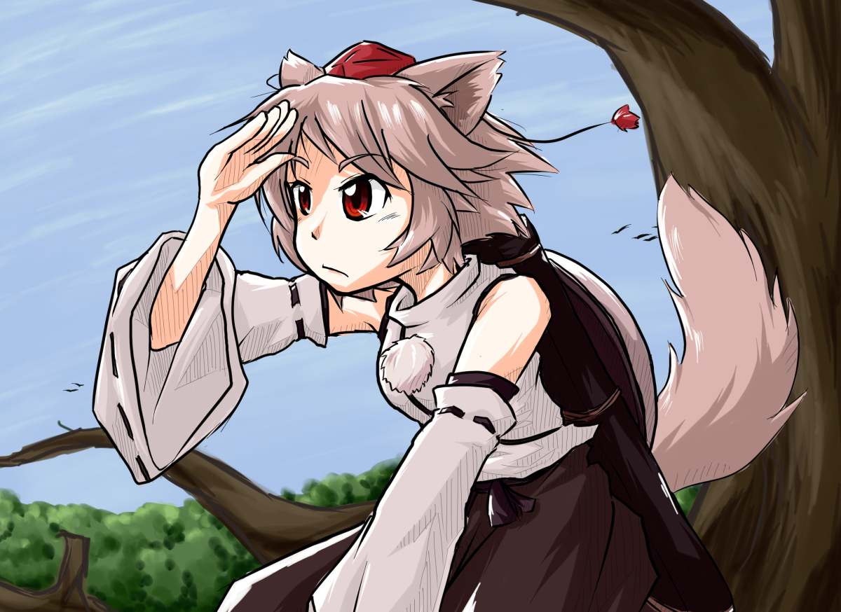 animal_ears, gray_hair, hat, inubashiri_momiji, ok-desuka, red_eyes, tail, touhou, wolfgirl