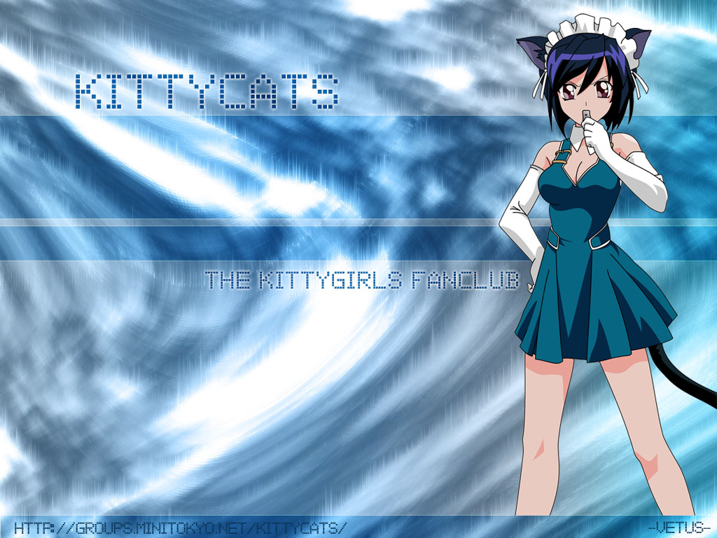 animal_ears, catgirl, sanada