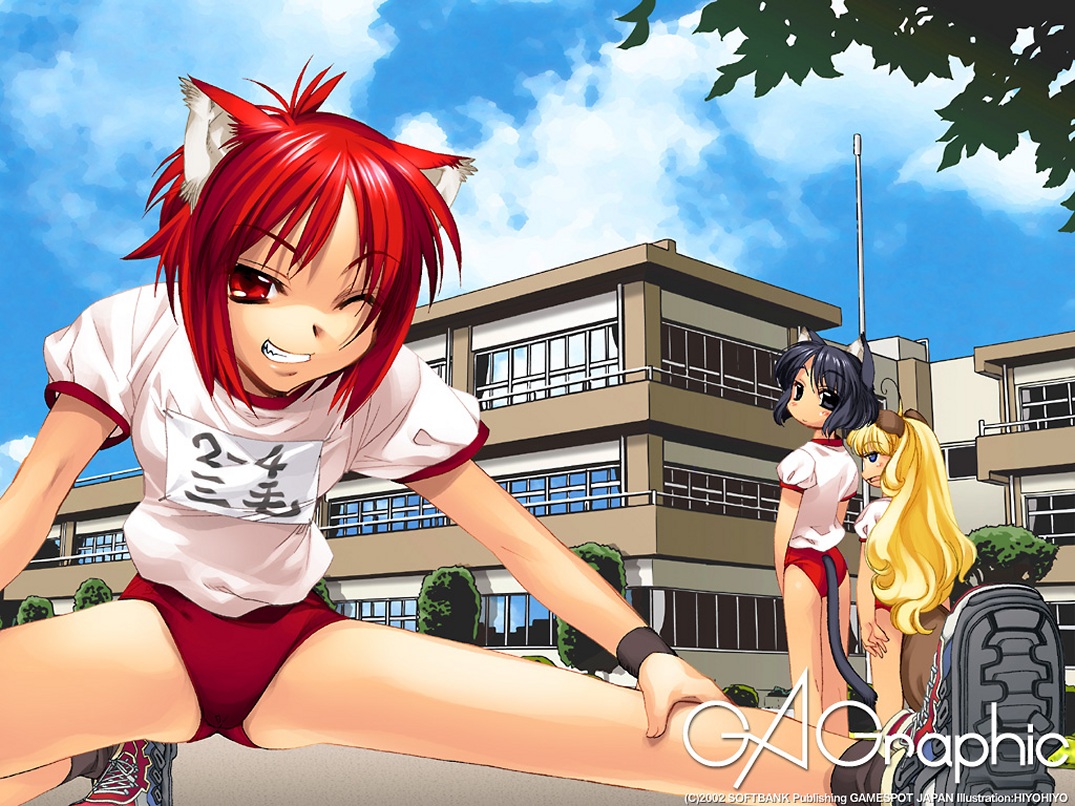 animal_ears, bloomers, catgirl, gagraphic, gym_uniform, hiyohiyo, logo, watermark