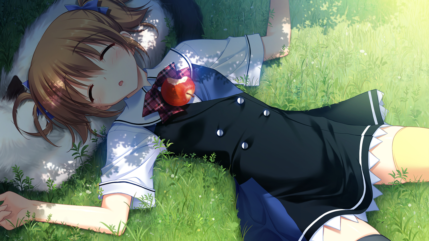 animal, apple, brown_hair, dog, food, fruit, fumio, game_cg