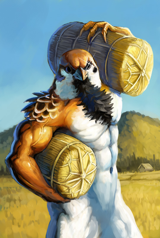 abs, bird, claws, feathers, hay, holding, muscle, nablange