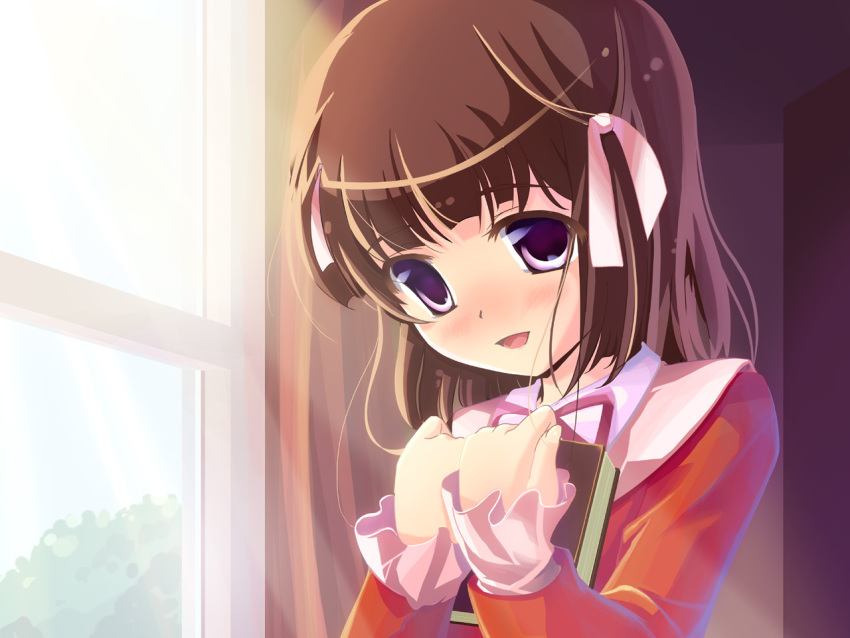 book, brown_hair, kami_nomi_zo_shiru_sekai, nashigo, purple_eyes, ribbon, school_uniform, serafuku