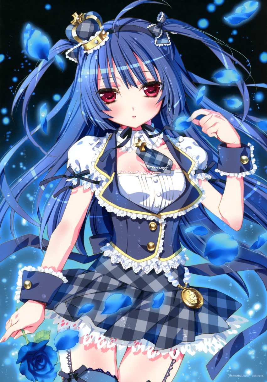 1girl, absurdres, blue_hair, blue_legwear, blue_rose, dress, flower, garter_straps, highres, himeka_(pairon), jewelry, kamiya_maneki, locket, momoiro_taisen_pairon, pendant, petals, rose, tagme, thigh-highs, two_side_up, violet_eyes, wrist_cuffs