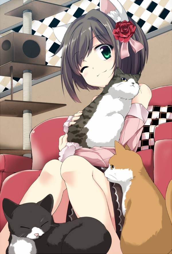 1girl, animal_ears, black_legwear, cat_ears, cat_on_lap, cat_tower_(object), chair, flower
