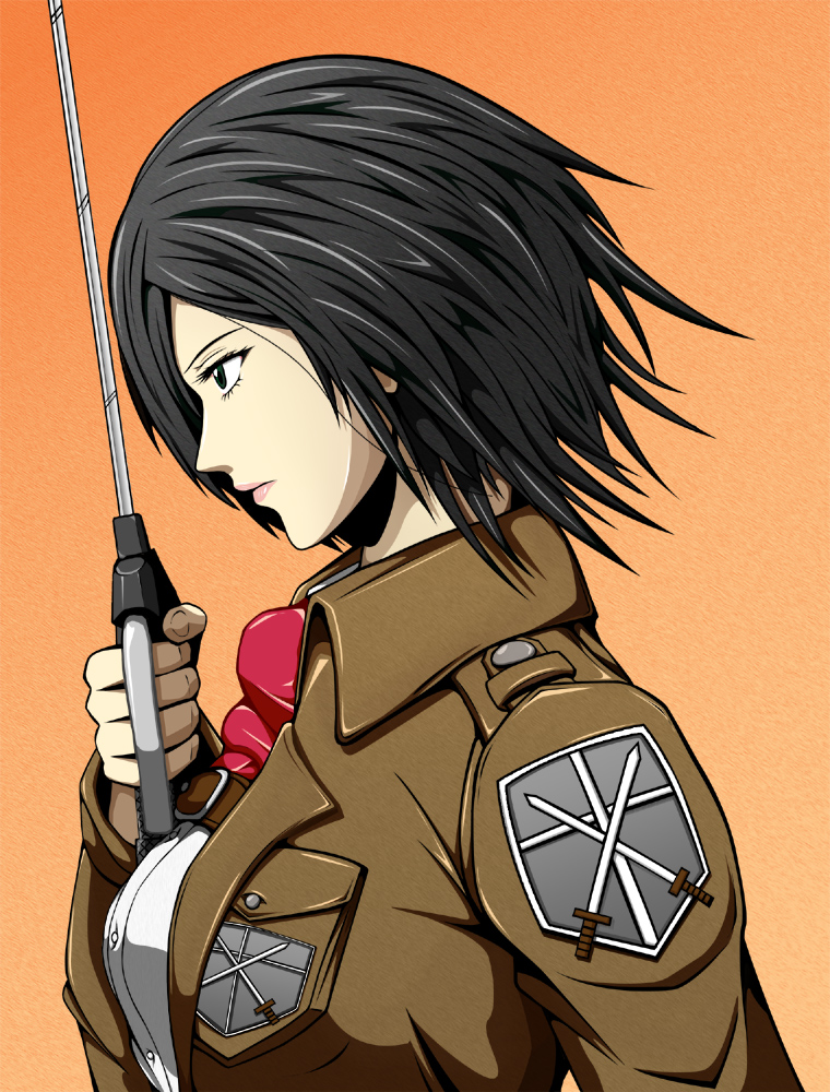 asaruton, black_eyes, black_hair, mikasa_ackerman, profile, scarf, shingeki_no_kyojin, short_hair