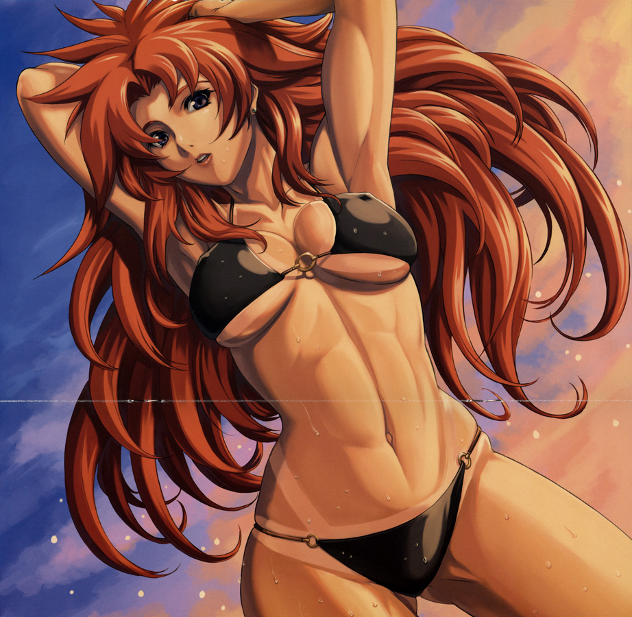 bikini, breasts, eiwa, long_hair, queen's_blade, risty, swimsuit