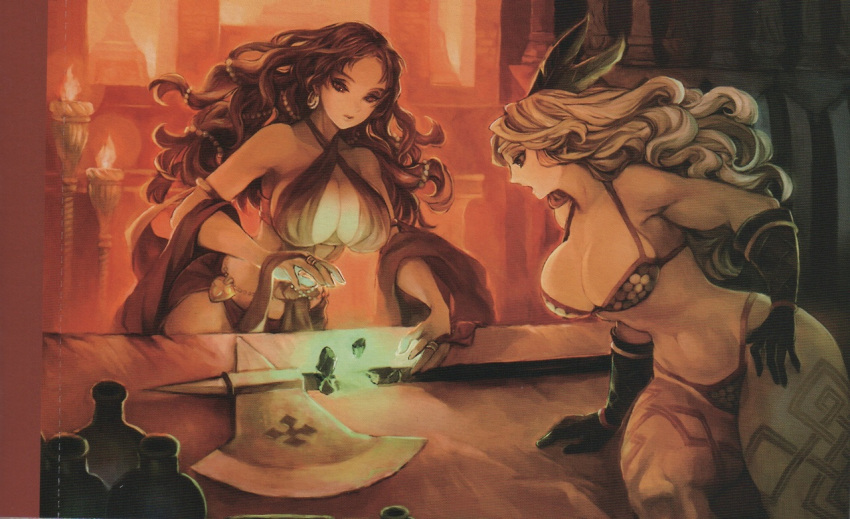 2girls, amazon_(dragon's_crown), armlet, armor, bikini_armor, black_hair, blonde_hair, breasts