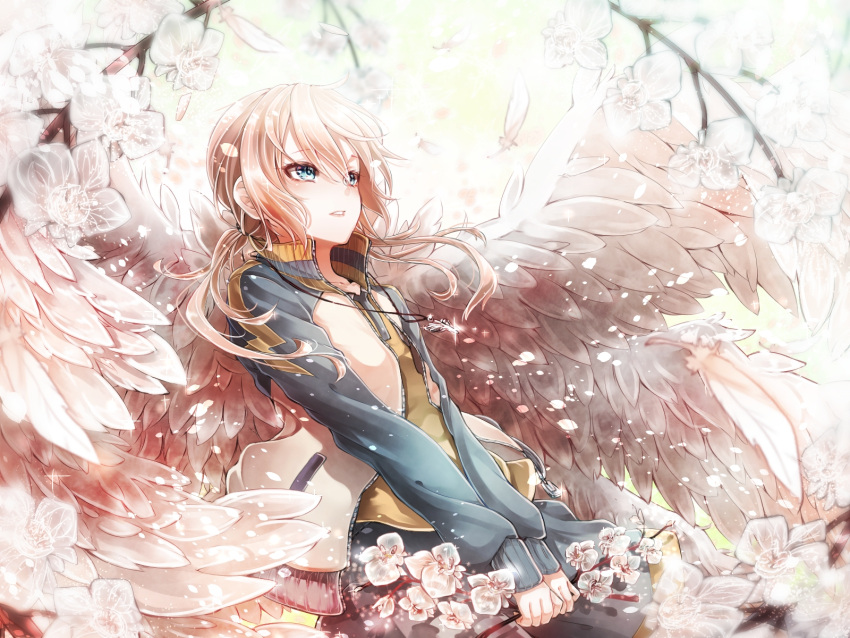 1boy, angel_wings, blue_eyes, flower, highres, inazuma_eleven_(series), inazuma_eleven_go, kirino_ranmaru