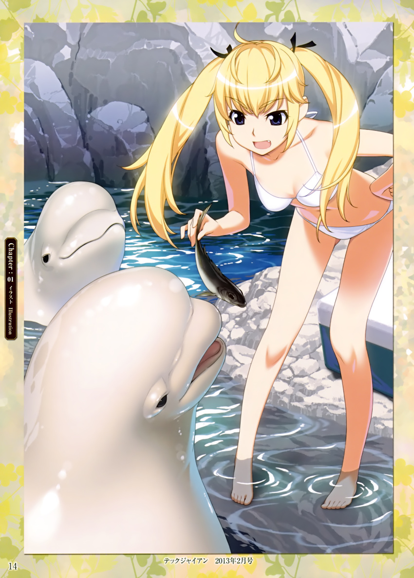 1girl, absurdres, barefoot, beluga_whale, blonde_hair, blue_eyes, fang, fish, grisaia_no_kajitsu, highres, legs, long_hair, matsushima_michiru, navel, open_mouth, solo, twintails, watanabe_akio, water