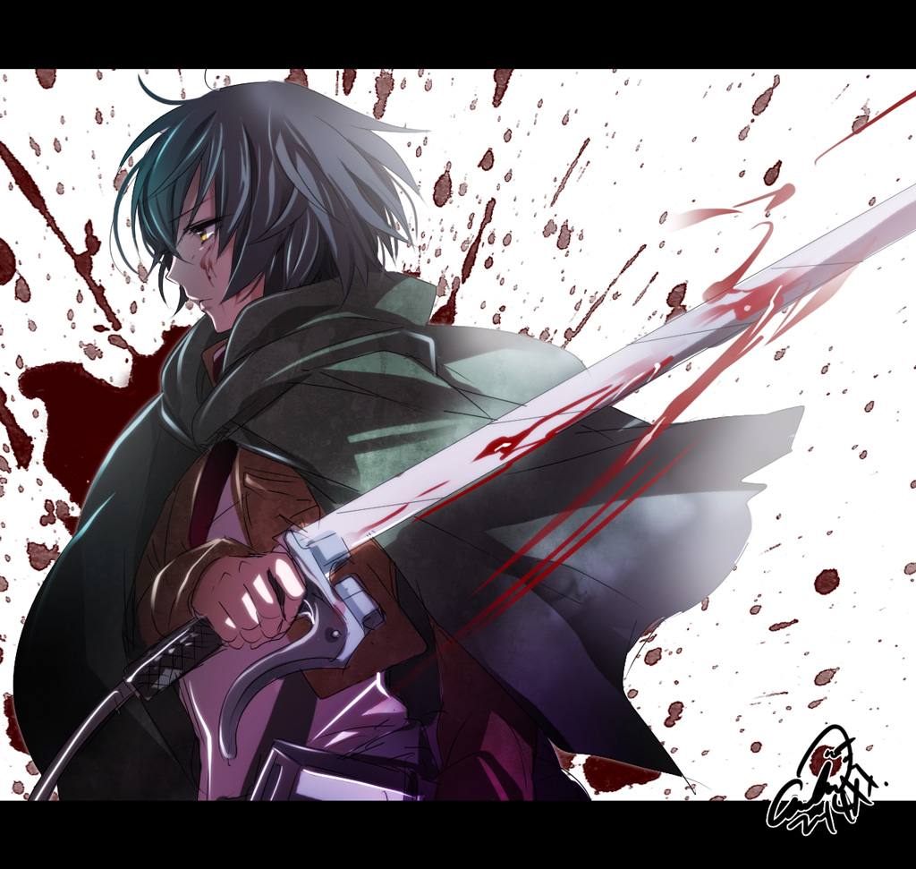 black_hair, blood, hayamiya, jacket, mikasa_ackerman, scarf, shingeki_no_kyojin, short_hair