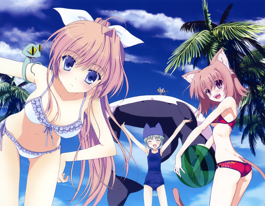 3girls, animal_ears, ass, ball, beachball, bikini, blue_eyes, breasts