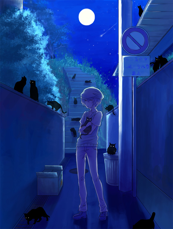 1boy, akaboshi_imoko, black_cat, box, cat, hat, moon, night, pants, stairs, sweater_vest, too_many_cats, translation_request, trash_can, tree