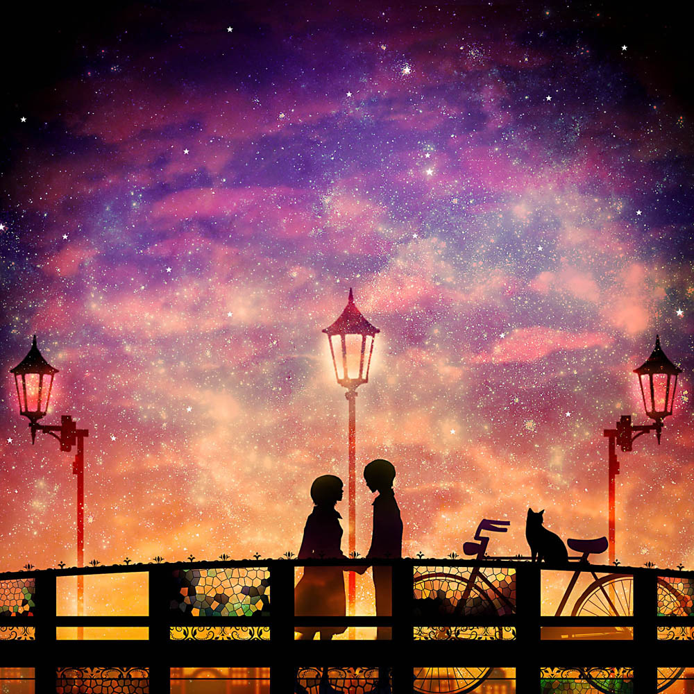 1boy, 1girl, amasawa_seiji, bicycle, bridge, cat, dark, galaxy