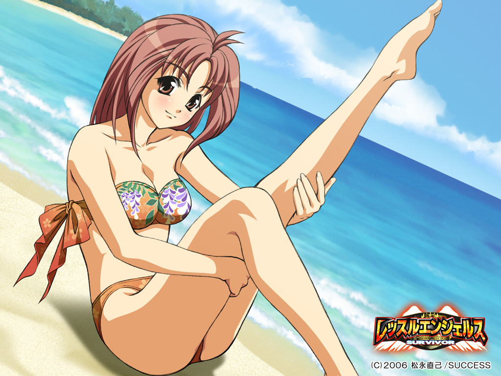 beach, bikini, brown_eyes, feet, fujishima_hitomi, leg_hug, long_hair, red_hair