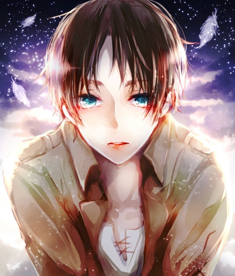 1boy, aqua_eyes, black_hair, clouds, eren_jaeger, feathers, jacket, looking_at_viewer