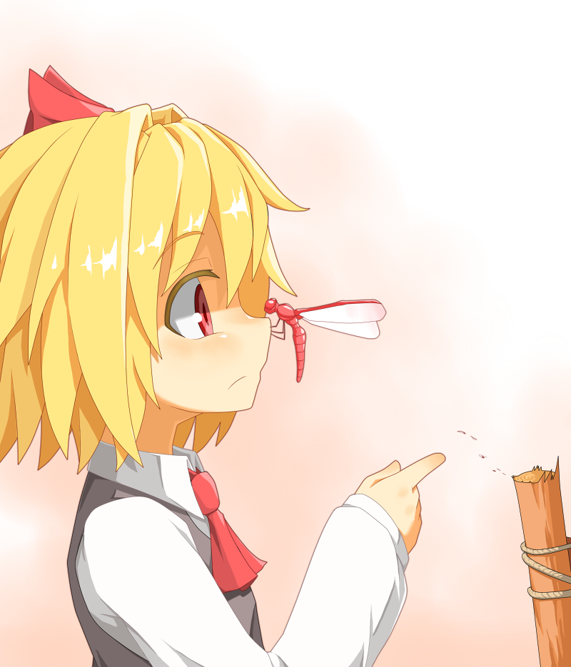 1girl, ascot, blonde_hair, blush, dragonfly, hair_ribbon, hecchi_(blanch), red_eyes, ribbon, rumia, short_hair, solo, touhou