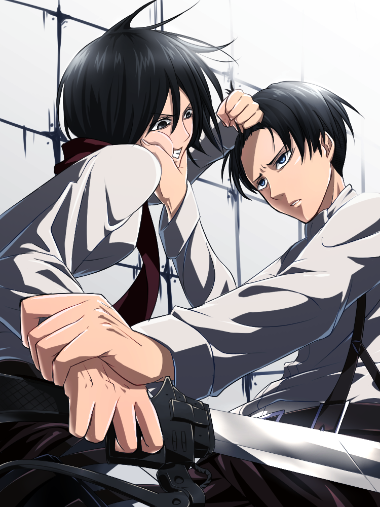 1boy, 1girl, black_eyes, black_hair, blue_eyes, fighting, levi_(shingeki_no_kyojin), mikasa_ackerman