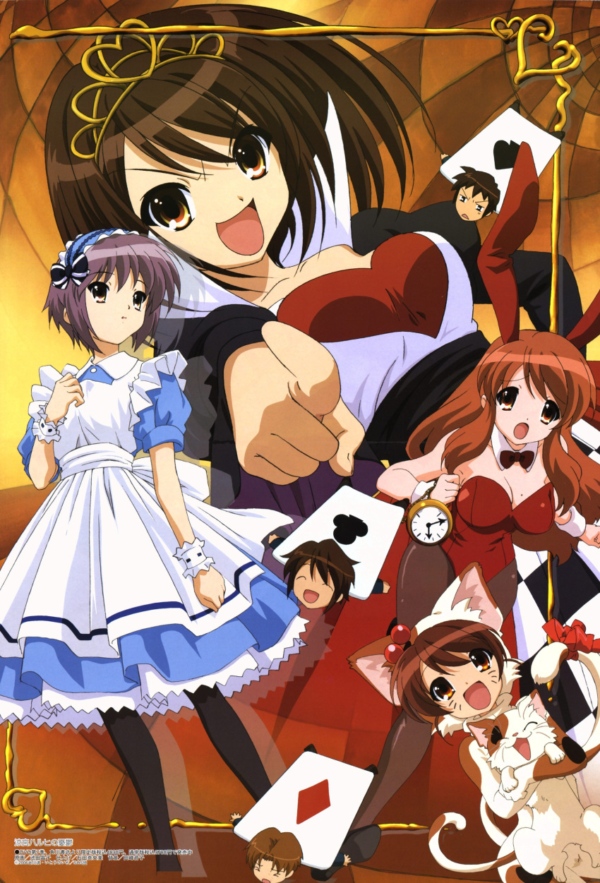 alice_in_wonderland, asahina_mikuru, brown_hair, cards, cat, cosplay, crossover, dress, imouto, kyon, kyons_little_sister, long_hair, nagato_yuki, nekomimi, purple_hair, short_hair, suzumiya_haruhi, suzumiya_haruhi_no_yuuutsu