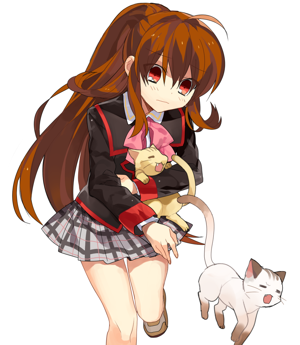 1girl, brown_hair, cat, highres, little_busters!!, long_hair, natsume_rin, plaid