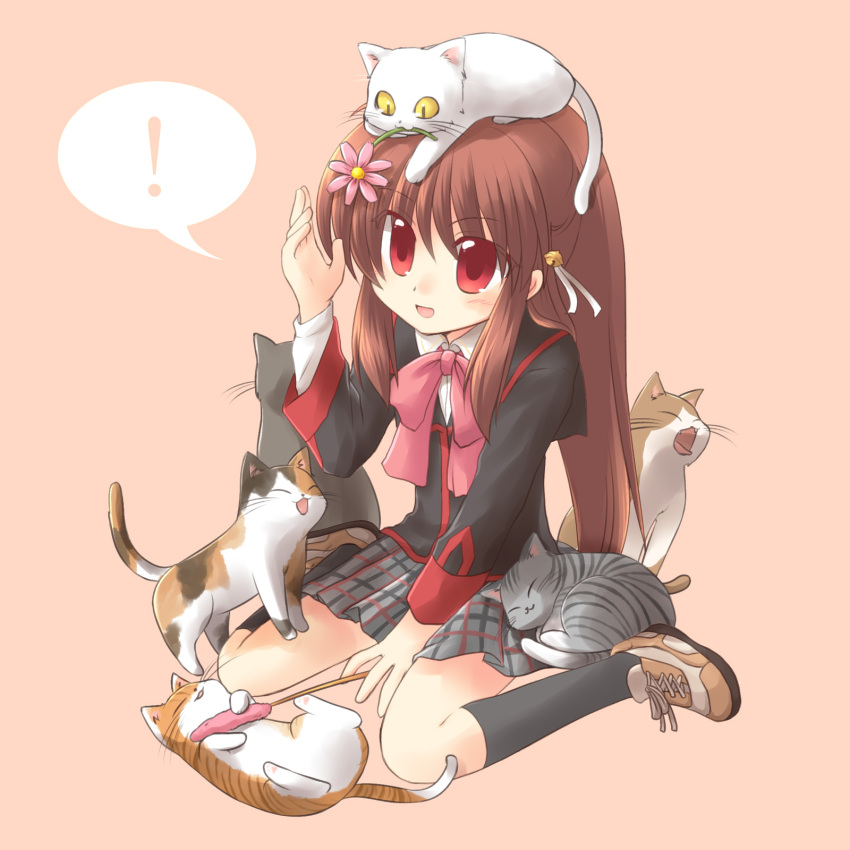 !, 1girl, animal_on_head, brown_hair, cat, cat_on_head, cat_teaser, flower, highres, little_busters!!, long_hair, natsume_rin, plaid, plaid_skirt, ponytail, red_eyes, ryuuga_nanamaru, school_uniform, skirt, squatting, too_many_cats