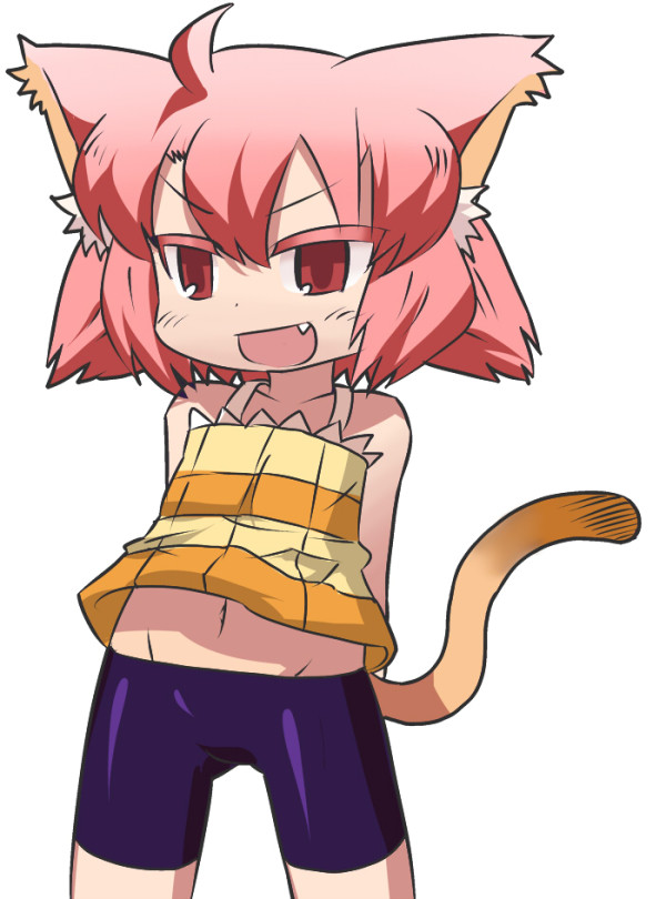 1girl, ahoge, animal_ears, arms_behind_back, bike_shorts, cat_ears, cat_tail, colored
