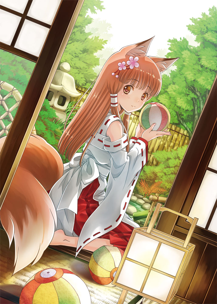 1girl, animal_ears, ball, barefoot, brown_eyes, brown_hair, fox_ears, fox_tail
