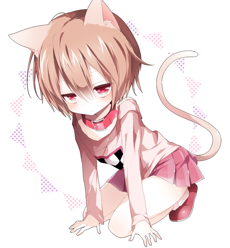 1girl, animal_ears, brown_hair, cat_ears, cat_tail, collar, emam_0201, kemonomimi_mode