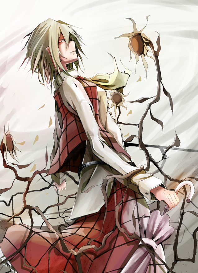 1girl, ascot, closed_umbrella, dry, flower, green_hair, kazami_yuuka, long_sleeves