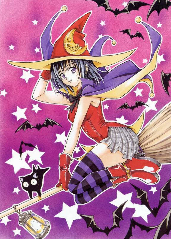 broom, cat, hat, kirisaki_kyoko, kirisaki_kyouko_(toloveru), purple_legwear, striped, striped_legwear