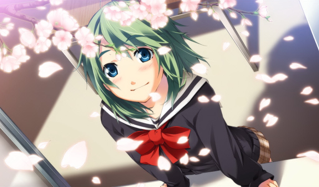 cherry_blossoms, dutch_angle, g_yuusuke, green_hair, gyuusuke, jpeg_artifacts, ribbon, sakurai_saki
