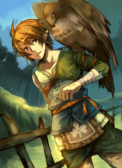 animal, bird_on_arm, blue_eyes, brown_hair, hanokage, link, male, nintendo