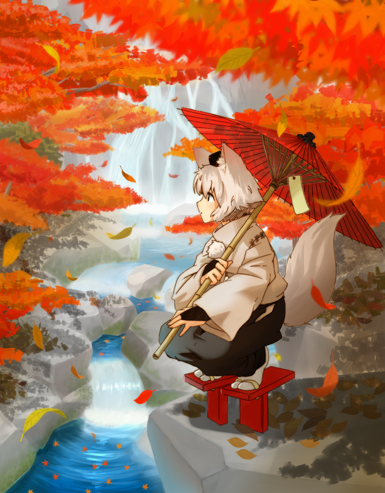 animal_ears, atuta, geta, hat, inubashiri_momiji, short_hair, silver_hair, solo