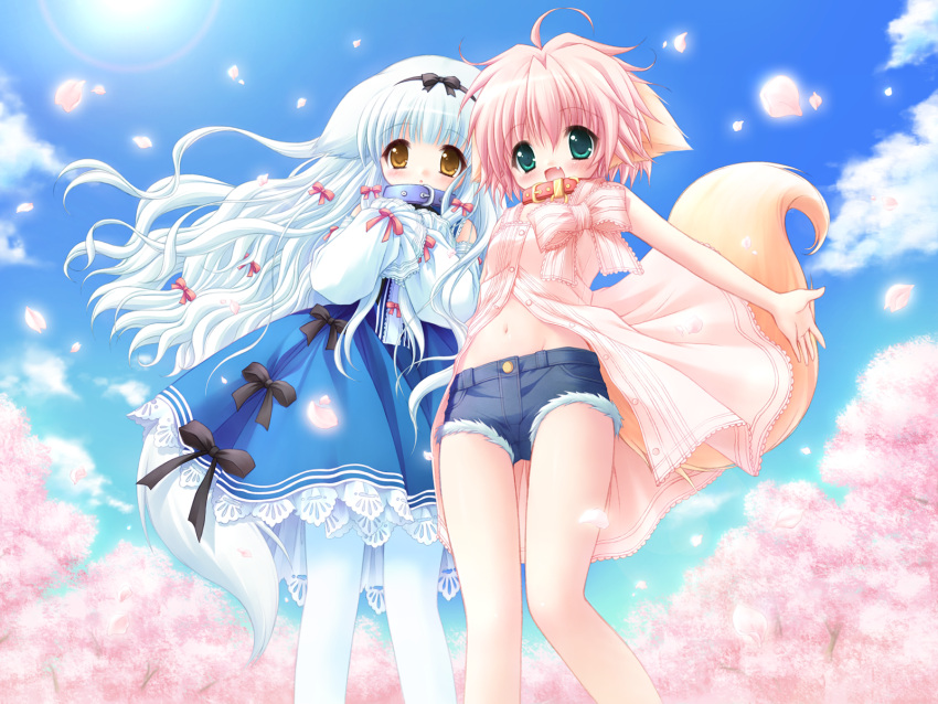 ahoge, animal_ears, aqua_eyes, bare_shoulders, blush, bow, cherry_blossoms, child, cloud, collar, denim, denim_shorts, dog_ears, dog_tail, dress, fang, fangs, hair_bow, hair_ribbon, highres, hiyo_nanami, lily, lily_(wanko), long_hair, midriff, multiple_girls, navel, open_mouth, outdoors, outside, pantyhose, petals, pink_hair, ribbon, short_hair, shorts, sky, tail, very_long_hair, wallpaper, wanko, wanko_to_lily, white_hair, white_legwear, white_pantyhose, wind, yellow_eyes