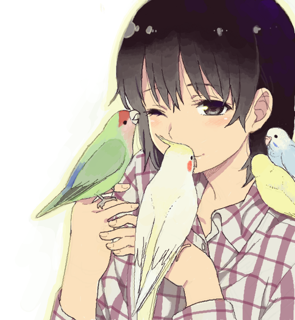 1girl, animal_on_shoulder, bird, bird_on_hand, bird_on_shoulder, black_eyes, black_hair, blush, bust, cockatiel, mattaku_mousuke, original, parakeet, plaid, smile, solo, wink