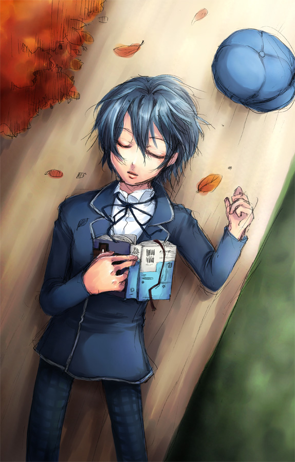 blue_hair, book, cabbie_hat, from_above, hands, harald, hat, negi_hei