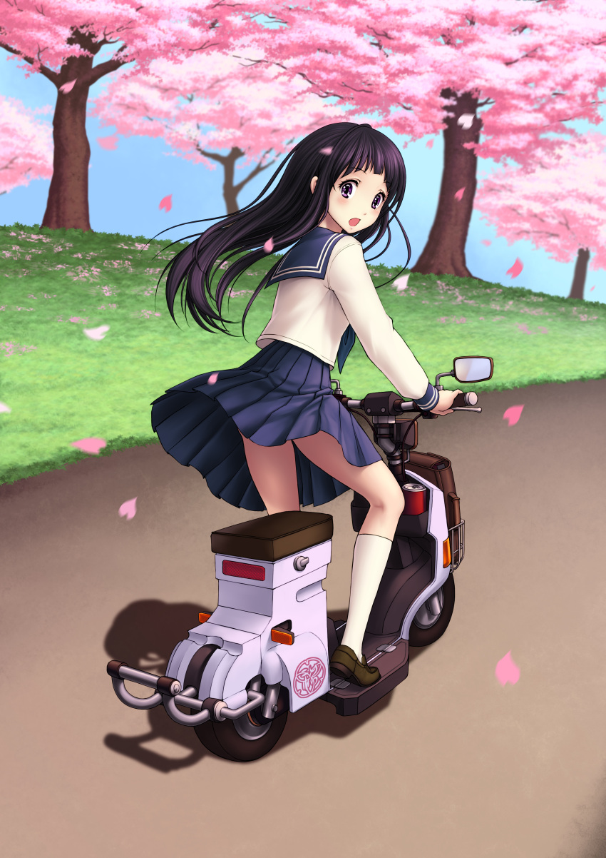 1girl, absurdres, black_hair, cherry_blossoms, chitanda_eru, from_behind, highres, hyouka