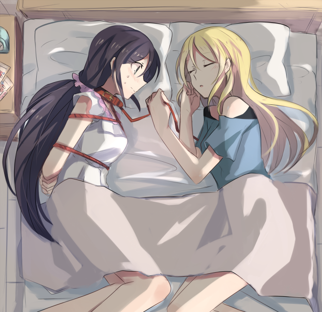 2girls, ayase_eli, bdsm, blonde_hair, blush, bondage, collar, leash
