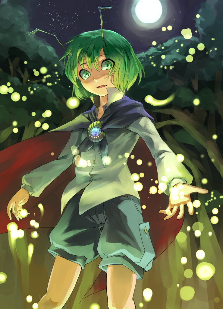 1girl, amayadori-tei, antennae, brooch, cape, fireflies, forest, full_moon