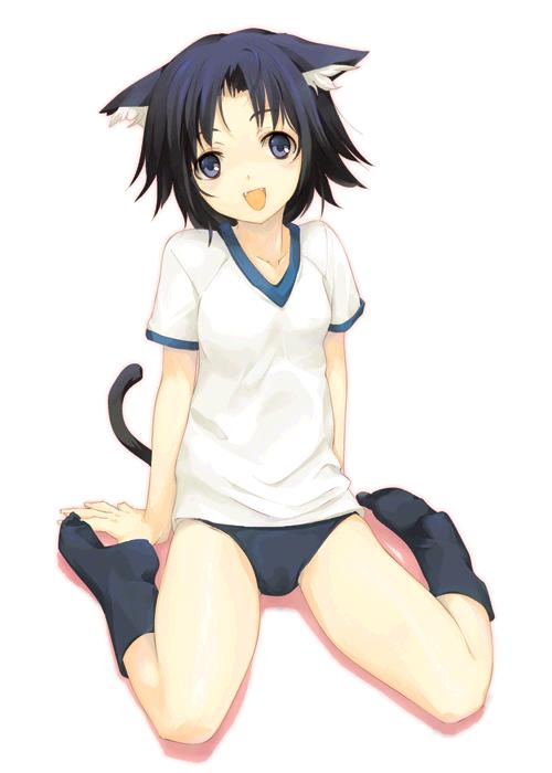 bloomers, blue_eyes, blue_hair, fang, nekomimi, pe_uniform, short_hair, socks