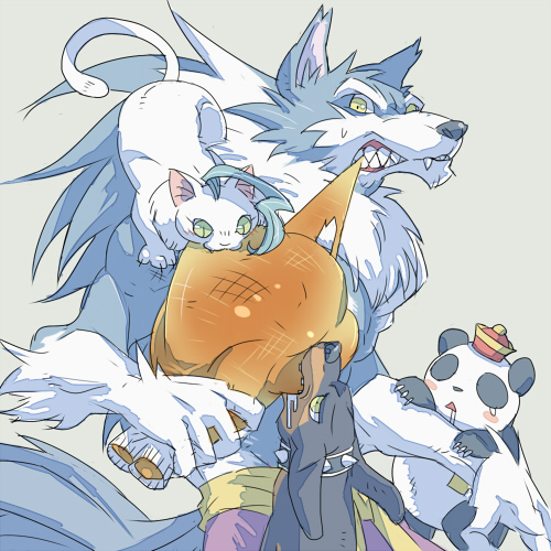:<, animal, animalization, biting, cat, dog, felicia, food