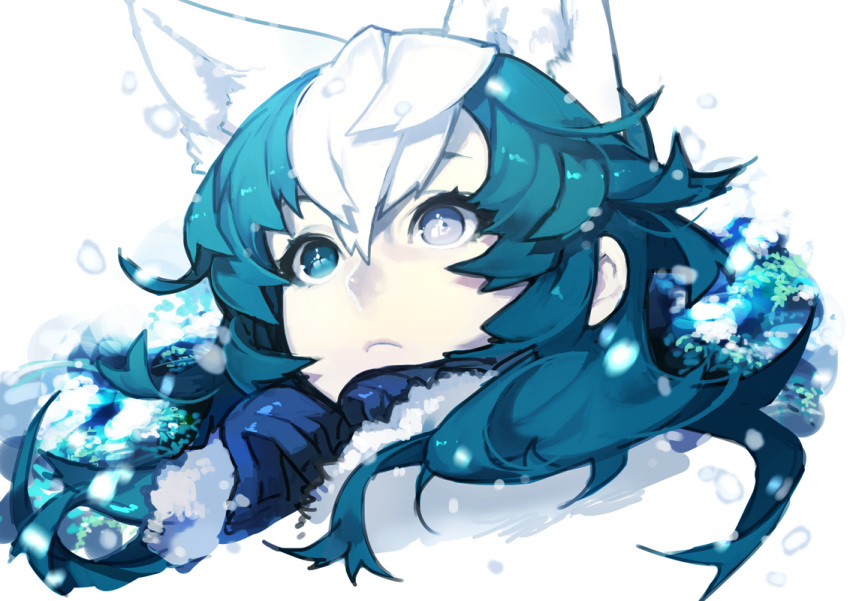 1girl, animal_ears, blue_eyes, blue_hair, face, hujimogeo, long_hair, multicolored_hair