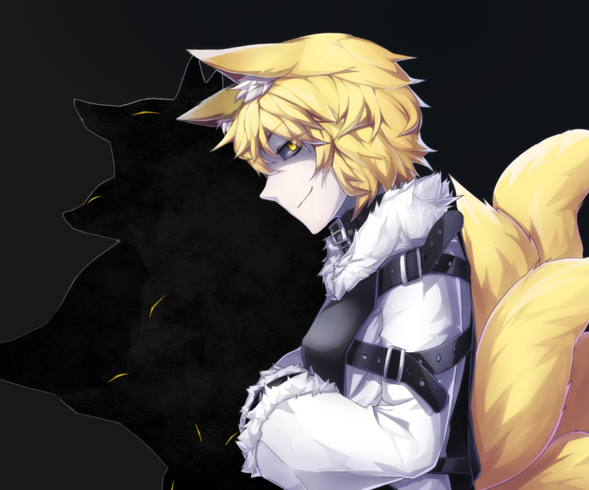 1girl, alternate_costume, animal_ears, blonde_hair, collar, dress, fox, fox_tail