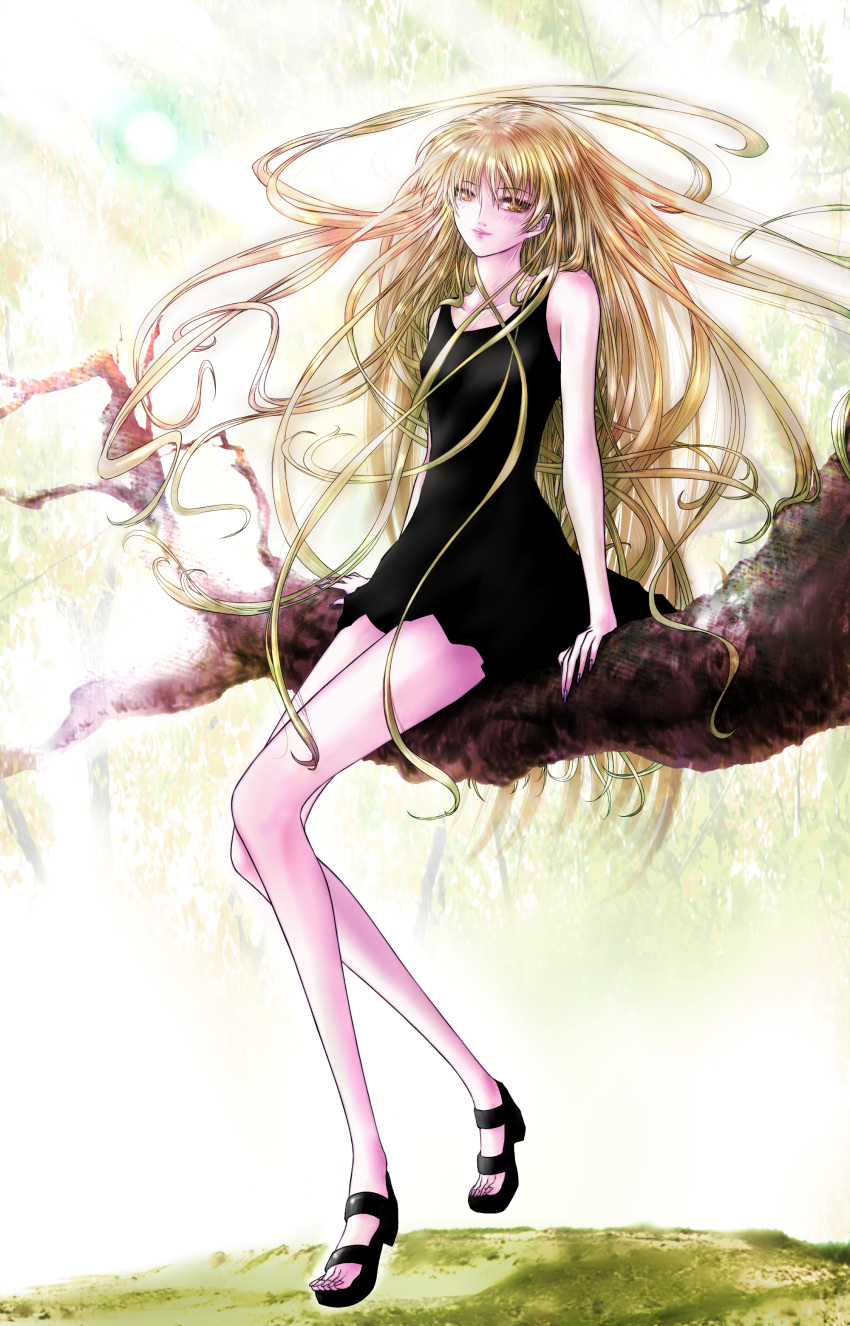 1girl, absurdres, amatsuka_megumi, auge_(akd), blonde_hair, branch, dress, highres, lips, long_hair, sitting, solo, tenshi_na_konamaiki, very_long_hair