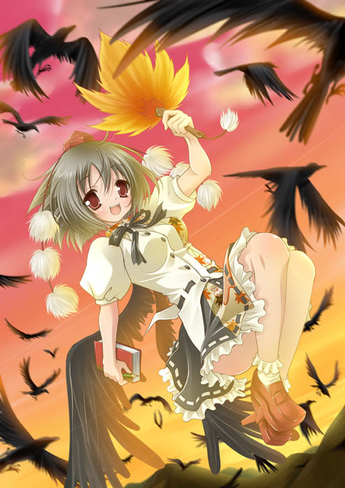 black_hair, black_wings, crow, geta, hat, nabepro, red_eyes, shameimaru_aya