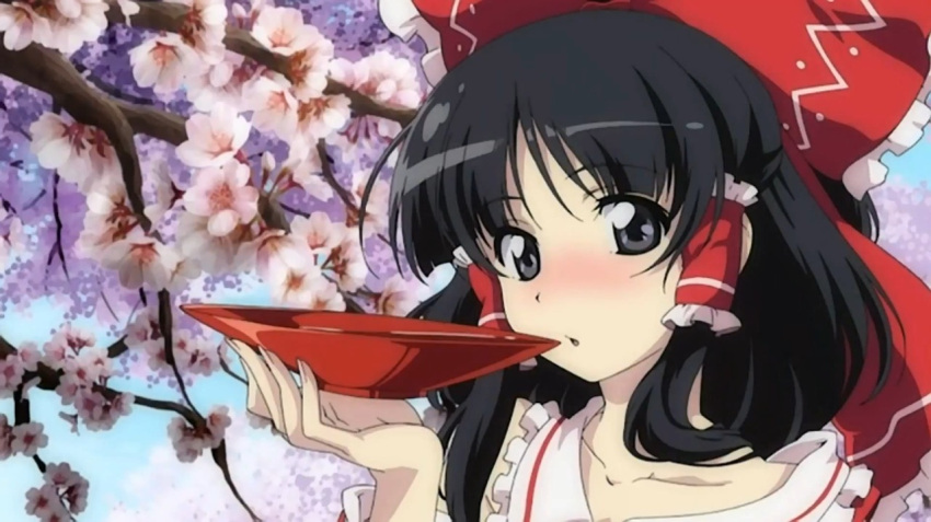 1girl, alcohol, black_eyes, black_hair, blush, cherry_blossoms, floral_background, flower