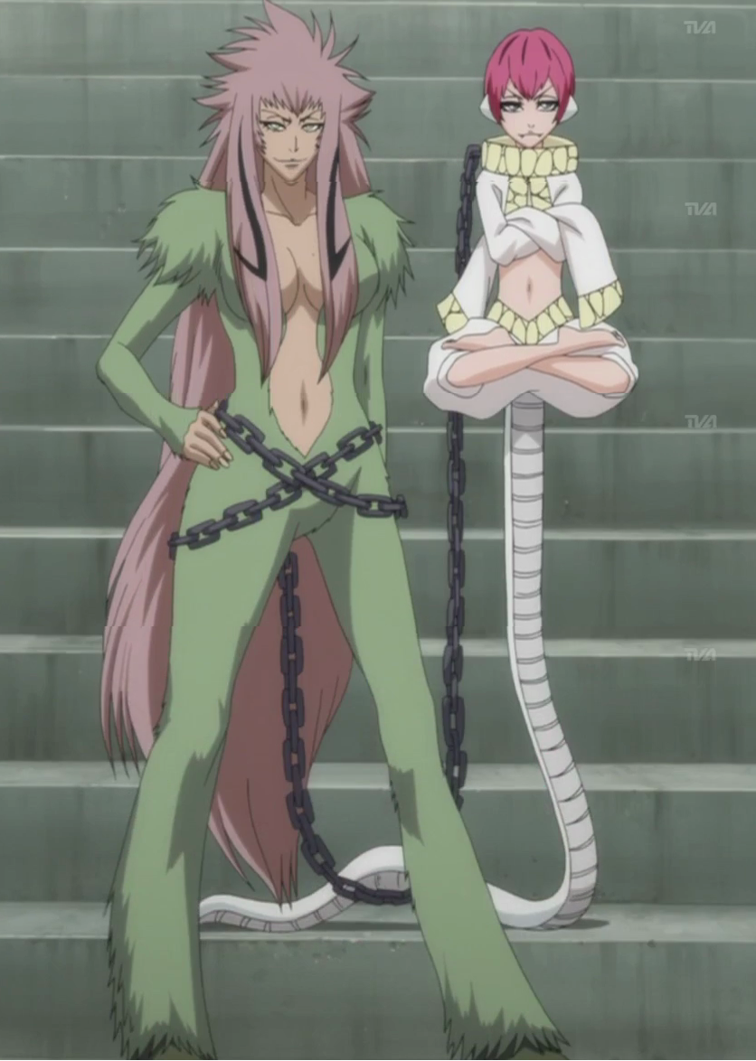 bleach, blue_eyes, cap, green_eyes, pink_hair, zabimaru, zanpakuto_spirit