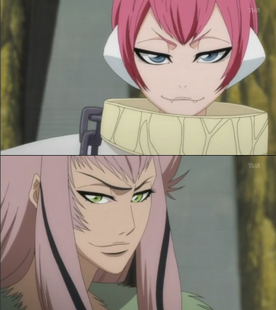 bleach, blue_eyes, cap, green_eyes, monkey, pink_hair, zabimaru, zanpakuto_spirit
