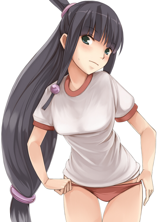1girl, ayasato_mayoi, black_hair, buruma, green_eyes, gyakuten_saiban, half_updo, long_hair