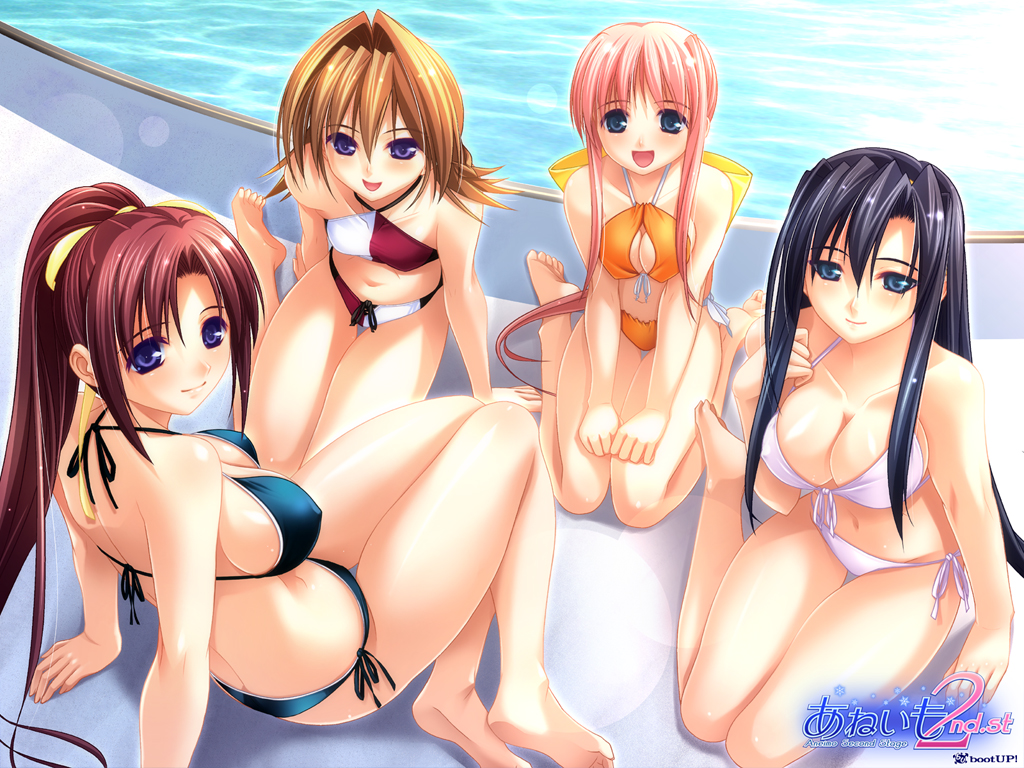 aneimo, bikini, black_hair, blue_eyes, breasts, brown_hair, cleavage, flat_chest
