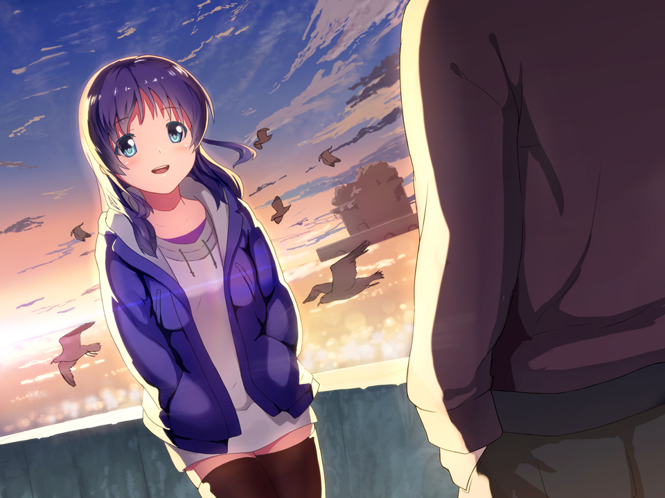 1boy, 1girl, albatross, bird, blue_eyes, blue_hair, dutch_angle, hiradaira_chisaki